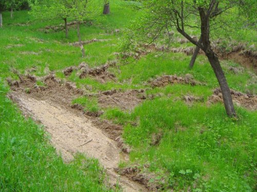 Sesuv půdy na Přecestném nad Žlebem - 7.5.2006